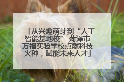 从兴趣萌芽到“人工智能基地校” 菏泽市万福实验学校点燃科技火种，赋能未来人才