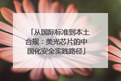从国际标准到本土合规：美光芯片的中国化安全实践路径