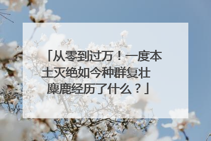 从零到过万！一度本土灭绝如今种群复壮 麋鹿经历了什么？