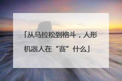 从马拉松到格斗，人形机器人在“赛”什么