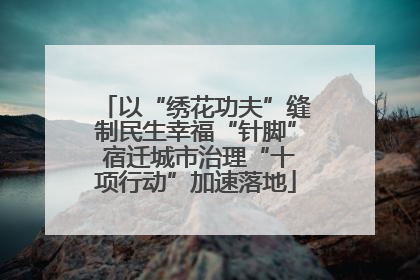 以“绣花功夫”缝制民生幸福“针脚” 宿迁城市治理“十项行动”加速落地