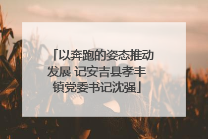 以奔跑的姿态推动发展 记安吉县孝丰镇党委书记沈强