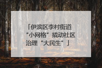 伊滨区李村街道 “小网格”撬动社区治理“大民生”
