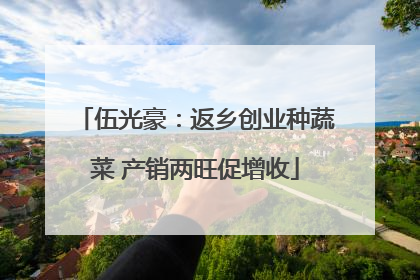伍光豪：返乡创业种蔬菜 产销两旺促增收