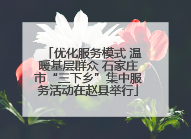 优化服务模式 温暖基层群众 石家庄市“三下乡”集中服务活动在赵县举行