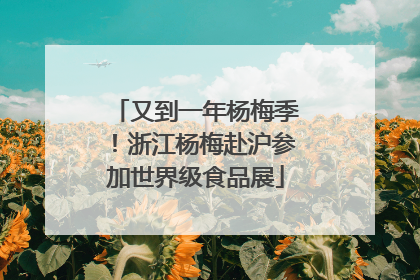 又到一年杨梅季！浙江杨梅赴沪参加世界级食品展