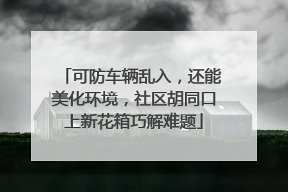 可防车辆乱入，还能美化环境，社区胡同口上新花箱巧解难题