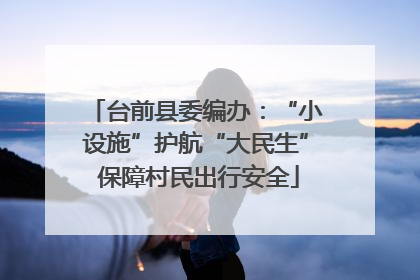 台前县委编办：“小设施”护航“大民生” 保障村民出行安全