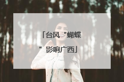 台风“蝴蝶”影响广西