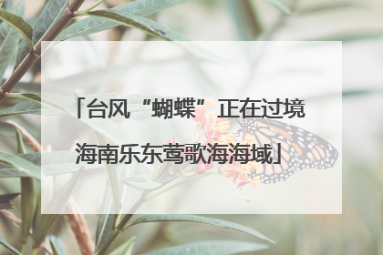 台风“蝴蝶”正在过境海南乐东莺歌海海域