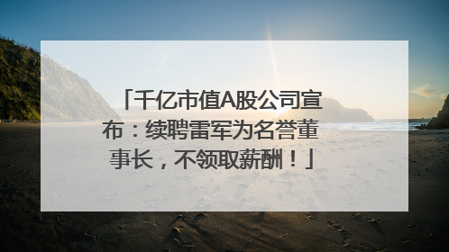 千亿市值A股公司宣布：续聘雷军为名誉董事长，不领取薪酬！