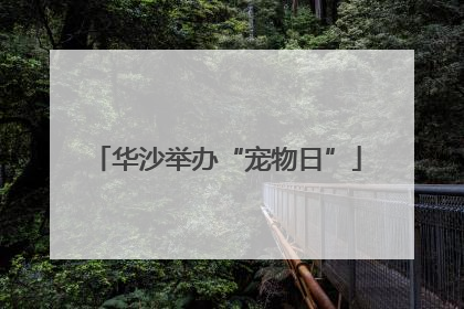 华沙举办“宠物日”