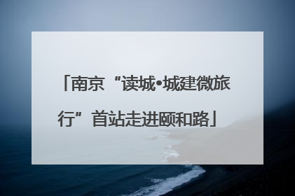 南京“读城•城建微旅行”首站走进颐和路