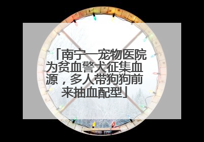 南宁一宠物医院为贫血警犬征集血源，多人带狗狗前来抽血配型