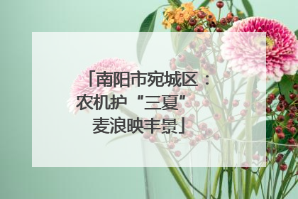 南阳市宛城区：农机护“三夏” 麦浪映丰景
