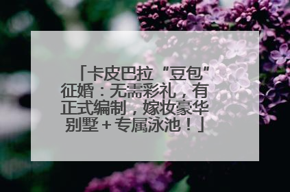 卡皮巴拉“豆包”征婚：无需彩礼，有正式编制，嫁妆豪华别墅＋专属泳池！