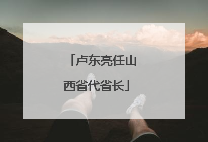 卢东亮任山西省代省长