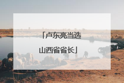 卢东亮当选山西省省长