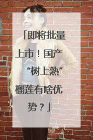 即将批量上市！国产“树上熟”榴莲有啥优势？