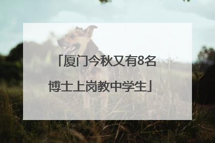 厦门今秋又有8名博士上岗教中学生