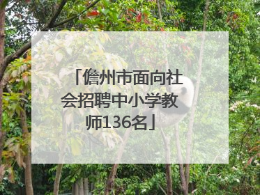儋州市面向社会招聘中小学教师136名
