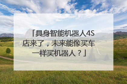 具身智能机器人4S店来了，未来能像买车一样买机器人？