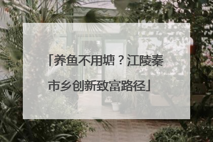 养鱼不用塘？江陵秦市乡创新致富路径