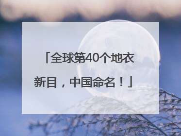 全球第40个地衣新目，中国命名！