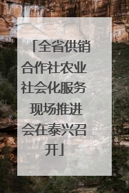 全省供销合作社农业社会化服务 现场推进会在泰兴召开