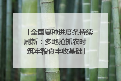 全国夏种进度条持续刷新：多地抢抓农时 筑牢粮食丰收基础