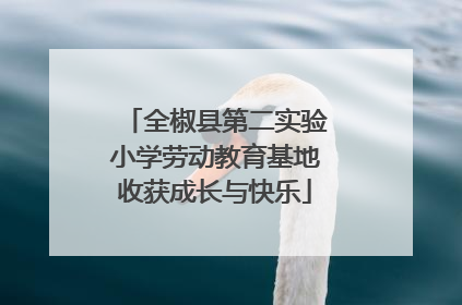 全椒县第二实验小学劳动教育基地收获成长与快乐