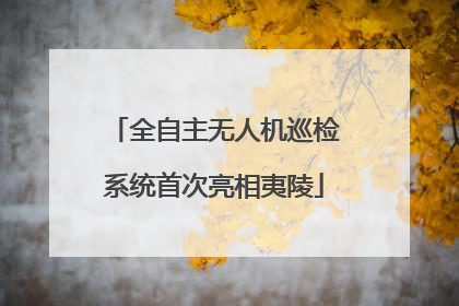 全自主无人机巡检系统首次亮相夷陵