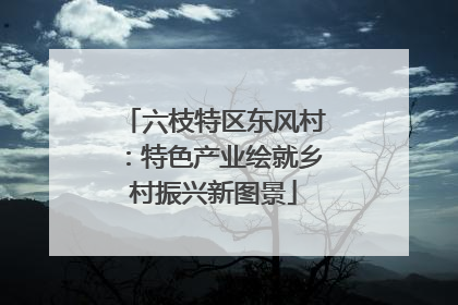 六枝特区东风村：特色产业绘就乡村振兴新图景