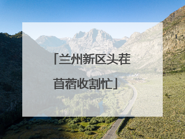 兰州新区头茬苜蓿收割忙
