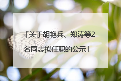 关于胡艳兵、郑涛等2名同志拟任职的公示