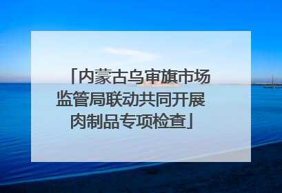 内蒙古乌审旗市场监管局联动共同开展肉制品专项检查