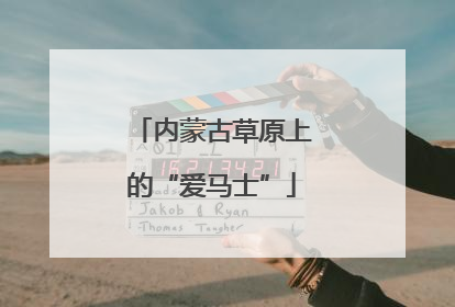 内蒙古草原上的“爱马士”