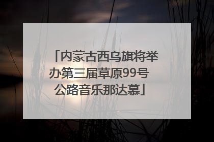 内蒙古西乌旗将举办第三届草原99号公路音乐那达慕