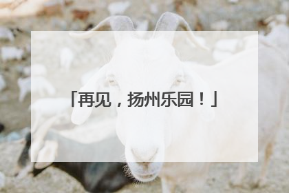 再见，扬州乐园！