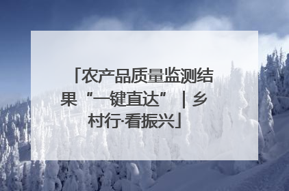 农产品质量监测结果“一键直达”｜乡村行·看振兴
