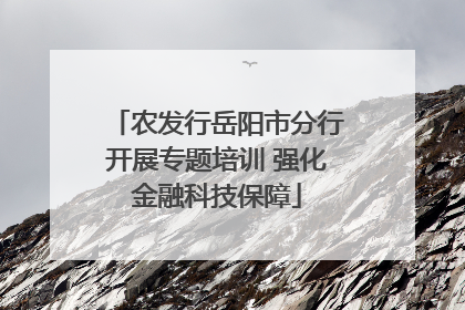 农发行岳阳市分行开展专题培训 强化金融科技保障