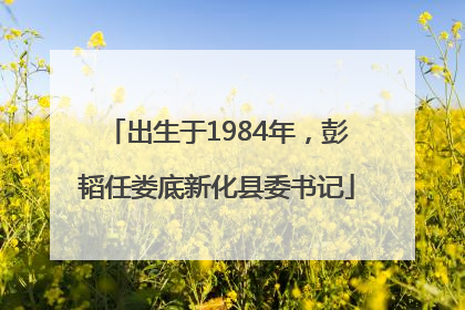出生于1984年，彭韬任娄底新化县委书记