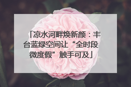 凉水河畔焕新颜：丰台蓝绿空间让“全时段微度假”触手可及