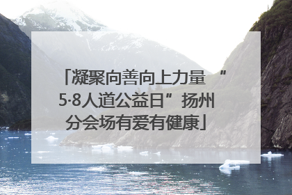 凝聚向善向上力量 “5·8人道公益日”扬州分会场有爱有健康