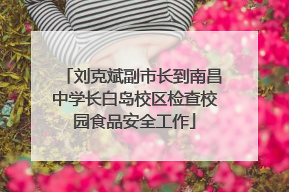 刘克斌副市长到南昌中学长白岛校区检查校园食品安全工作