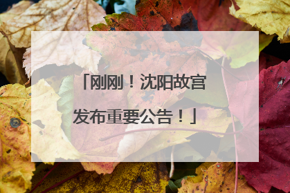 刚刚！沈阳故宫发布重要公告！