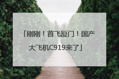 刚刚！首飞厦门！国产大飞机C919来了