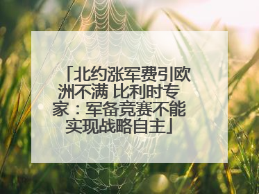 北约涨军费引欧洲不满 比利时专家：军备竞赛不能实现战略自主