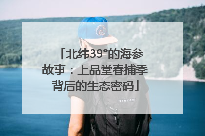 北纬39°的海参故事：上品堂春捕季背后的生态密码