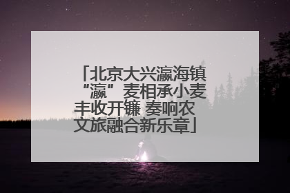 北京大兴瀛海镇“瀛”麦相承小麦丰收开镰 奏响农文旅融合新乐章
